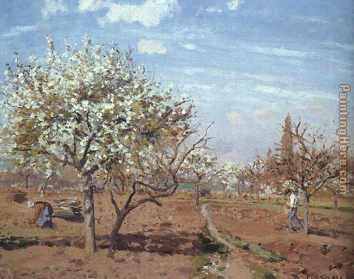 Orchard in Bloom at Louveciennes painting - Camille Pissarro Orchard in Bloom at Louveciennes art painting